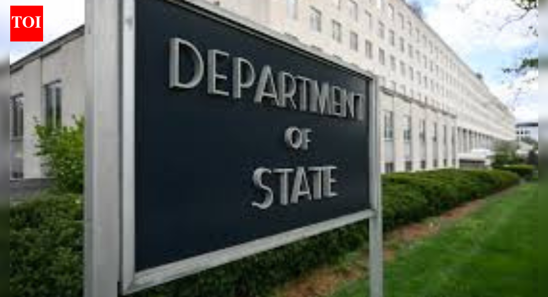 3 months’ delay for H-1B social media vetting? Expert says it’s just an excuse, they would obviously use AI | World News