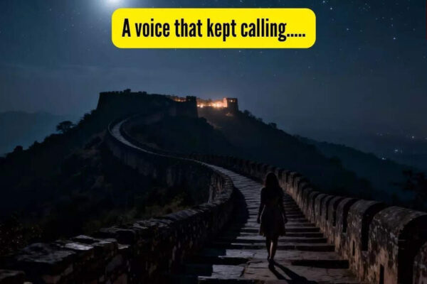 It was a faceless voice that kept calling me until I stepped out of the fort….. |
