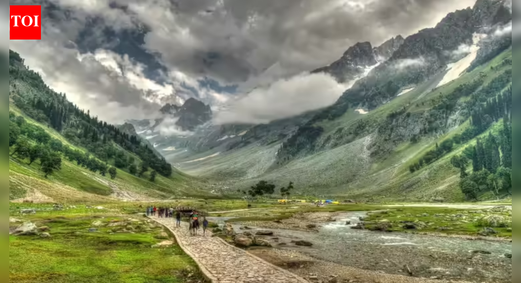 A Chinese national, apprehended for visiting Jammu and Kashmir and Ladakh without proper authorization, has been sent back to New Delhi. The 29-year-old tourist allegedly violated visa norms by traveling to restricted areas after arriving on a visa permitting only specific Buddhist pilgrimage sites. He was questioned for several days before his return.  SRINAGAR: A Chinese national who was under the scanner for visiting Jammu and Kashmir and Ladakh without permission was sent back to New Delhi, police sources said Wednesday evening.The 29-year-old had been under questioning by police and intelligence agencies since Sunday at Humhama police post in central Kashmir’s Budgam district for allegedly violating visa norms. His phone, seized for examination, was returned on Wednesday.The Chinese national arrived in New Delhi on Nov 19 on a tourist visa that permitted travel only to select Buddhist religious destinations, including Varanasi, Agra, Sarnath and Gaya. He flew to Leh on Nov 20, but did not register at the Foreigners Regional Registration Office counter at the airport. He told investigators that he had travelled to Ladakh and the Zanskar region as a tourist.He left Ladakh on Nov 29 and reached Kashmir on Dec 1, staying at a Budgam homestay. Though questioned during the daytime, he was allowed to return to the homestay in the evenings. He had also visited several areas in Srinagar.End of ArticleFollow Us On Social MediaVideosPM Modi Receives Call From Israeli PM Netanyahu; Reaffirms Support For Gaza Peace PlanUS Pushes .25 Billion Into Reko Diq As Critical Minerals Race Heats Up In Balochistan’s Badlands’Detect, Delete, Deport’: Amit Shah Blasts Rahul Gandhi Over Infiltrators, Oppn Stages WalkoutMicrosoft’s Biggest Asia Investment Yet: What The .5 Billion India Push Really Means ExplainedOwaisi Calls SIR a ‘Backdoor NRC’ in Lok Sabha, Warns of Selective Religious DisenfranchisementVande Mataram: Priyanka Chaturvedi Urges Parliament To Correct ‘WhatsApp Version’ Of India’s HistoryRahul Gandhi’s ‘Open Challenge’ To Amit Shah In Lok Sabha Over SIR Gets ‘I Will Decide’ ReplyExplained: The Sindhudesh Push In Karachi And The Historical Fractures Driving Pakistan’s TurmoilIndiGo’s 5% Flight Cut Explained: Causes, Impact on Routes, and the Ripple Effects on PassengersMicrosoft CEO ‘Thrilled’ About India’s Growing Data Centre Capacity, Details Meet With PM Modi123PhotostoriesNo heartbeat but still alive: 5 animals that survive without a heart’Dhurandhar’ star Sara Arjun just served the most elegant floral moment of the season‘Gangs of Wasseypur’, ‘Gangubai Kathiawadi’, ‘Shootout at Lokhandwala’: Bollywood movies that brought infamous gangsters Alive6 powerful Shiv Mantras and how reciting them regularly can bring in a transformative experience in lifeSHE Travels: 9 beach holidays in India perfect for your next girls’ trip7 daily winter soups for better digestion, immunity & energy5 vegetables that are healthier raw than cooked8 weakest currencies in the world10 most romantic quotes by Rumi that still feel magicalChef Pankaj Bhadoria explains which type of roti should be consumed in which season123Hot PicksIndia US DealMutual Fund AdvisorSpiceJet FlightGold rate todaySilver rate todayPublic Holidays NovemberBank Holidays NovemberTop TrendingPhilip Rivers Earnings 2025Resident Evil 9 UpdatesAnthony Richardson InjuryStephen Curry WifeVenus Williams and Andrea Net WorthSlient Hill 1 Remake Release DateRafael Nadal and Mery Net WorthTrey Benson Injury updateCheat Codes in Red Dead RedemptionGurgaon Man Chicken Momos