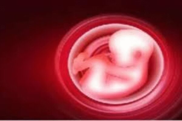 UK report says Indian-origin parents may be aborting female foetuses