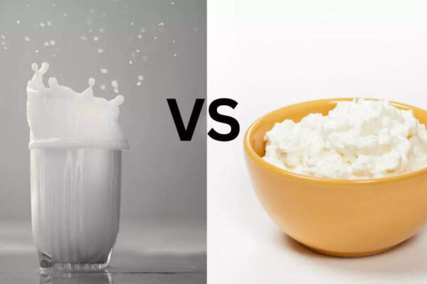 Stronger than milk? researchers point to an unexpected food for bone health |
