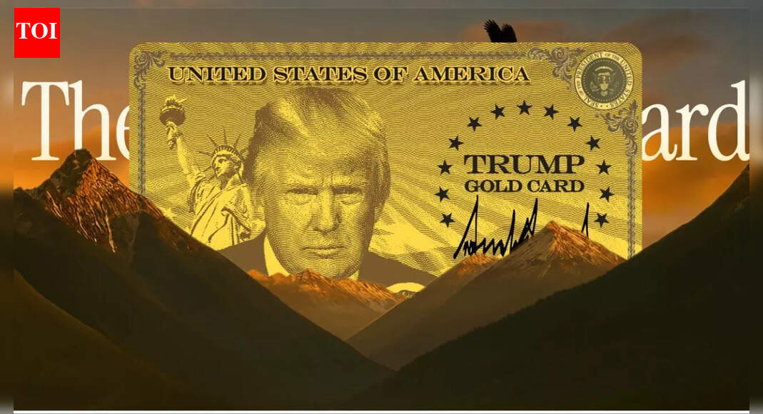 What is Trump’s Gold Card? Eligibility, benefits, price and how to apply – FAQs answered