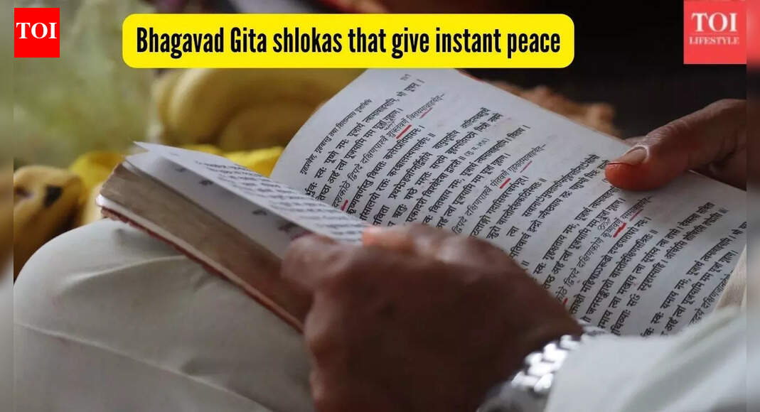 7 Bhagavad Gita shlokas that give instant peace |