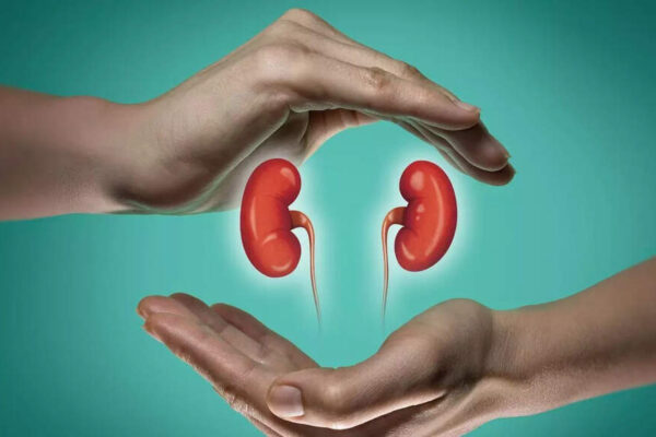 5 daily habits to stop kidney stones from coming back |