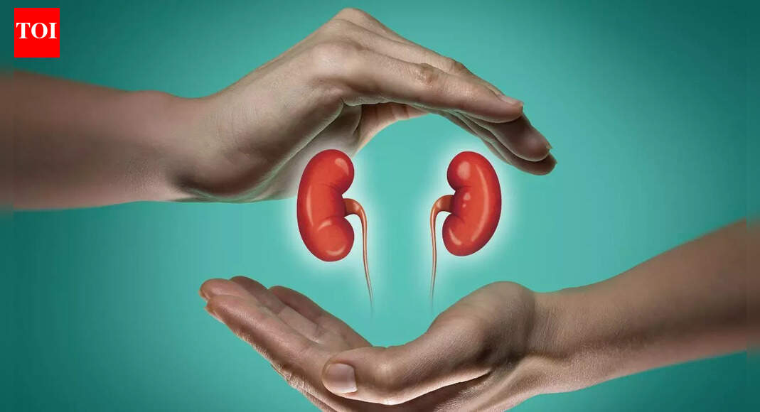 5 daily habits to stop kidney stones from coming back |