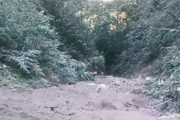 Tragedy struck in Arunachal Pradesh as at least 22 Assam labourers are feared dead after their mini truck plunged into a deep gorge near the Indo-China border. A lone survivor, severely injured, alerted authorities after a perilous journey. Rescue operations are underway, with specialized teams and the Army working to retrieve bodies from the treacherous terrain. Photo: Screengrab/DD GUWAHATI: At least 22 labourers from Assam are feared dead after a mini truck fell into a deep gorge in Arunachal Pradesh’s Anjaw district near the Indo‑China border. The accident occurred on Monday night along the high‑altitude Hayuliang–Chaglagam road.The incident came to light only on Thursday night when a lone survivor, severely injured, managed to climb out of the gorge and walk about 4 km to reach a Border Roads Organisation camp. He alerted officials to the mishap.Anjaw district deputy commissioner Millo Kojin “The NDRF team from Assam is reaching the site with specialised equipment tonight, and search and rescue operations are expected to begin tomorrow. The injured survivor has been shifted to Assam Medical College and Hospital in Dibrugarh,” he said.He added that details of 18 individuals are known so far and efforts are on to collect the information of the other four.Defence PRO Lt Col M Rawat said that Indian Army launches search and rescue operation in higher reaches of Arunachal Pradesh.He said that after four hours of intensive search and rope descent on Thursday, the truck was spotted around 200 metres below the road near KM 40 in a re-entrant, inaccessible and not visible from helicopters or the road due to dense tree cover and thick foliage and 18 bodies have been spotted so far.“The accident site, approximately 12 km short of Chaglagam, lies in difficult terrain with limited connectivity and had not been reported by any local agency, contractor or civil representative until the survivor’s arrival,” the PRO said.About the AuthorPrabin KalitaPrabin Kalita is a journalist at The Times of India and is currently the Chief of Bureau (northeast). He has been reporting in mainstream Indian national media since 2001. He has been a field journalist reporting gamut of issues from India’s northeastern region and major developments in neighbouring countries like Myanmar, China, Bhutan and Bangladesh concerning India and northeastern region. He has been covering insurgency—internal and cross-border, politics, natural calamities, environment etc. He is a post-graduate in Geological Sciences from Gauhati University.Read MoreEnd of ArticleFollow Us On Social MediaVideos‘Hands Were Trembling’: Rahul Gandhi Takes Sharp Dig At Amit Shah Over Ls AddressTrump’s  Million Gold Card Explained: What America’s Costliest Visa Means For Indian ApplicantsUS Clears 6 Million F-16 Upgrade For Pakistan, Sparking Major Strategic Ripples Across South AsiaGoa Club Owners Saurabh & Gaurav Luthra Arrested in Phuket After Deadly Fire‘Damaging India, Hurting America’: Jayapal Flags Tariff Crisis Hitting Both NationsAmid Flight Meltdown, IndiGo Chairman Denies Claims of Rule Manipulation and Crisis EngineeringIndia-US Relations Face Hurdle As US Engages Pakistan Military, Says Dhruva JaishankarIndia Slams Pakistan At UN For Airstrikes And ‘Trade Terrorism’ That Deepen Afghanistan’s CrisisLawmaker Says Trump Damaged India–US Relations After Modi–Putin Selfie Sparks BacklashDonald Trump’s ‘Gold Card’ Promises New Path For Indians, US Allows Companies To Hire Top Graduates123PhotostoriesPriyanka Chopra to Katrina Kaif: Decoding bridal jewellery of Bollywood actresses that belongs in your wedding vanityDhurandhar, Mission Majnu, Raazi; Gripping spy movies that expose and destroy deadly terror plots5 aggressive pet fish that aren’t for beginnersHow IGI Airport Is Using AI and Upgraded Runways to Beat Winter Fog9 heart-healthy foods with the highest amount of Omega 3 fatty acids8 everyday popular foreign brands Indians often assume are IndianBaby boy names inspired by Lord VishnuGoa club inferno chase: Luthra brothers nabbed in Thailand after deadly blaze sparks global manhuntFoods that must never be eaten rawLow-calorie alcohol options that don’t ruin your diet123Hot PicksParliament Winter SessionTrump Gold CardSpiceJet FlightGold rate todaySilver rate todayPublic Holidays NovemberBank Holidays NovemberTop TrendingSherrone MooreIsaiah RiderStephen CurryAdrian MorejonFerrari Carnage KolkataRomeo Lane FireMohan BhagwatBengaluru CrimePaige Shiver Net WorthGabrielle Union