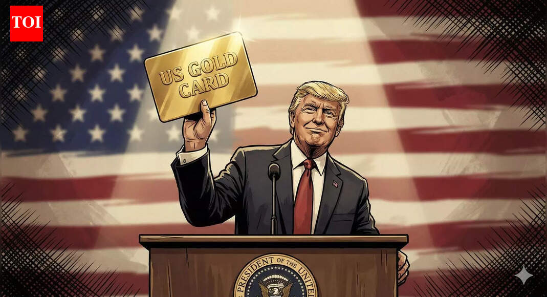 Donald Trump’s Gold Card: Every visa that exists in America | World News