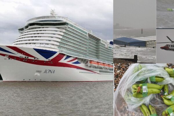 Containers of Bananas falling into sea delay cruise for 24 hours in Britain’s busiest waterway |