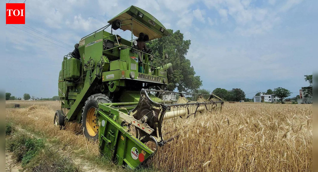 Rural demand sees revival as incomes rise: Nabard survey