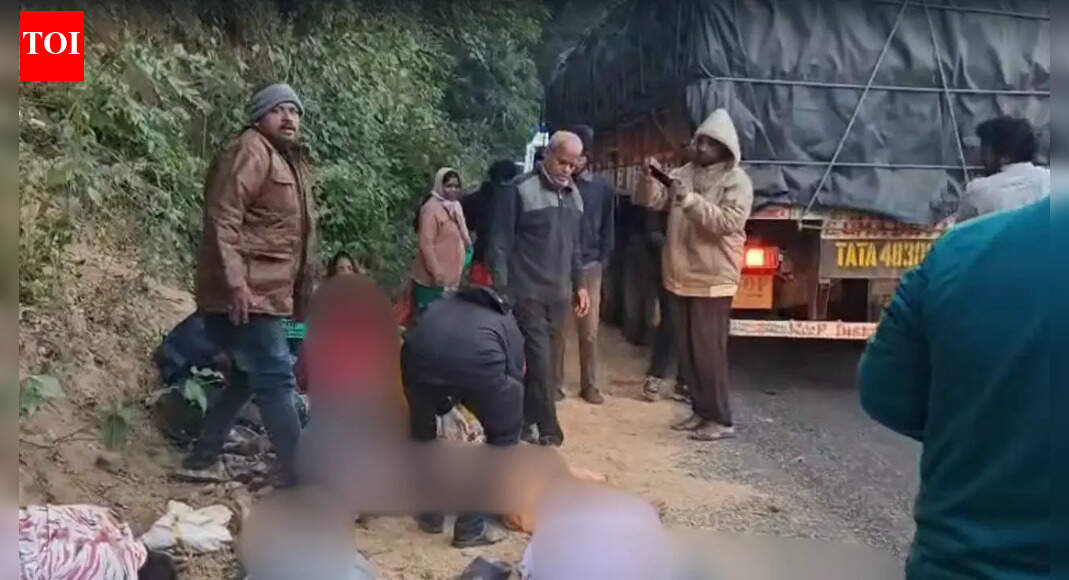 Andhra Pradesh pilgrimage turns tragic: At least 10 dead as bus falls into gorge; rescue ops launched