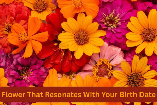 Flower That Resonates With Your Birth Date