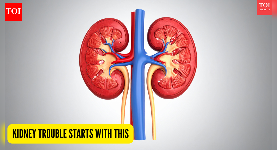 Kidney Damage Symptoms: Early signs of kidney trouble: 5 hidden signs to watch for before it’s too late |