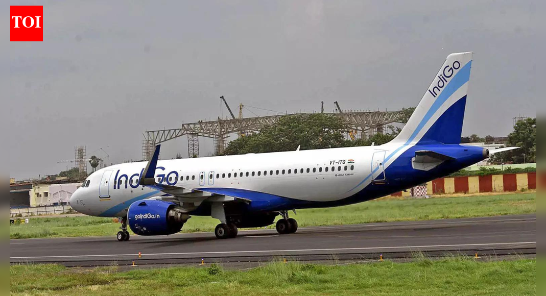 IndiGo hires int’l aviation expert to probe flight disruption