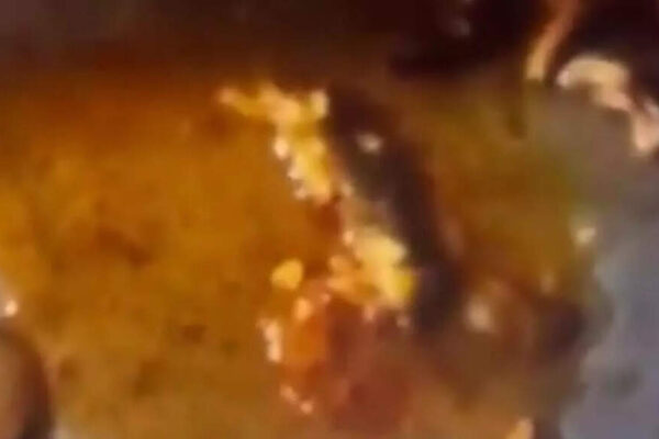 Dead lizard in chicken curry ordered from Zomato leaves Meerut man hospitalised and sparks food safety worries |