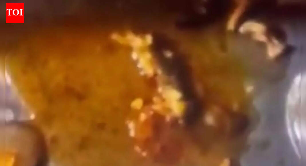 Dead lizard in chicken curry ordered from Zomato leaves Meerut man hospitalised and sparks food safety worries |