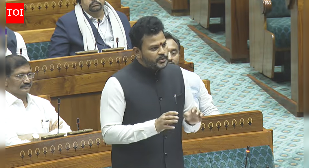 IndiGo crisis: Minister says government ‘stepped in immediately’ to cap air fares; adds prices are on par globally