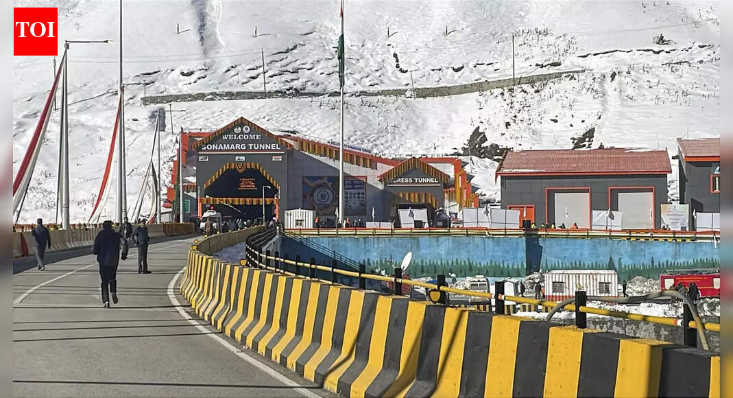 The road transport ministry has issued new guidelines emphasizing that authorities must take full responsibility for road tunnel projects, from inception to completion. These guidelines mandate weekly risk management meetings and a live risk register, ensuring accountability for mitigation measures.  NEW DELHI: Authorities must take responsibility for every stage of a project, the road transport ministry said in its ‘Guidelines for Prevention and Mitigation of Road Tunnel Collapses’ issued on Thursday, amid a trend of highway authorities finding easy escape for such mishaps by passing the blame on contractors and consultants.As per the guidelines, the project in-charge must attend weekly risk management meetings with key project stakeholders. “The risk register shall remain a live document, regularly updated to ensure top risks are discussed and mitigation measures are implemented. Each identified risk shall have a designated person responsible for mitigation,” the document said.Specifying that authorities concerned must have ownership, the guidelines said hired agencies such as DPR consultants, contractors and authority engineers or independent engineers are distinct entities with specific and time-bound roles. “Authorities must ensure optimal performance from these entities to achieve project goals,” it said.To ensure safety and structural integrity of tunnel projects, the ministry said at the time of alignment survey, geological maps and national landslide susceptibility mapping published by the Geological Survey of India (GSI) must be consulted. It said all critical aspects of the contract — milestones, scheduling, provisions for variations, risk-sharing mechanisms and force majeure, must be addressed unambiguously.Highlighting that recent evidences suggest that many tunnel DPRs lack the necessary technical depth, reducing them to procedural formalities rather than effective risk management tools, the ministry said the project in-charge of the authority will be responsible for ascertaining the correctness of the geological and geotechnical investigation conducted as part of the DPR.End of ArticleFollow Us On Social MediaVideosIndia’s Ambassador To UNESCO Hails Inscription Of Diwali On Intangible Cultural Heritage ListPutin Keeps Sharif Waiting In Ashgabat, Desperate Pakistan PM Gate-Crashes Meeting With ErdoganIs Trump Planning A New Core-5 Superclub With India As Central Power? Inside The Buzz In WashingtonIMF’s New Conditions Expose Pakistan’s Deep Economic Faultlines Amid  Billion Rescue PackageLashkar Praises Munir’s CDF Elevation, Issues Threats To Kabul And Deepens Pakistan Proxy Crisis’Hindus Are Lathi-Charged’: Anurag Thakur Attacks Tamil Nadu Govt Over Karthigai Deepam RowCongress Shows Rift As Odisha MLA Writes To Sonia Gandhi Seeking Kharge’s Removal, Priyanka’s RiseTrump’s  Million Gold Card Explained: What America’s Costliest Visa Means For Indian ApplicantsRahul Gandhi Demands Unified National Response As Parliament Debates India’s Air Pollution Crisis’Insult To The House’: Opposition Protests As Rajya Sabha Adjourns Over Absence Of Cabinet Ministers123Photostories‘Padayappa’ to ‘Petta’: Rajinikanth films that will explode your fan-boy heart on the Superstar’s birthday!5 longest animals found across the worldKidney damage: How “healthy” supplements and vitamins can sneakily hurt youFrom Border to Chhaava: ‘Dhurandhar’ Akshaye Khanna’s best performances you need to watch on OTTChef Sanjeev Kapoor’s creative and exotic fiber-rich broccoli recipes for winter monthsSonam Kapoor just gave us the winter-wedding maternity look of the seasonHigh-protein diet the Indian way: How to add more protein without overloading the kidneys5 quotes by Vikram Seth on love, truth, and relationships that spill the utmost truth‘Masaan’,‘Ugly’, ‘Kahaani’: Bollywood gems that remind us why story comes firstFrom Abhishek Kumar to Tanishaa Mukerji: ‘Bigg Boss’ stars who became a part of ‘Khatron Ke Khiladi’123Hot PicksMukesh Ambani vs Gautam AdaniDonald TrumpAnurag ThakurGold rate todaySilver rate todayPublic Holidays NovemberBank Holidays NovemberTop TrendingSherrone MooreIsaiah RiderStephen CurryGoa Night Club Fire NewsHiroko Real AgeMukesh Ambani vs Gautam AdaniTroy AikmanSherrone MoorePaige Shiver Net WorthJeff Shiver