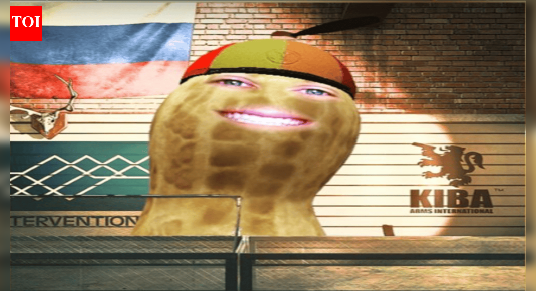 “It’s not my community”: TheBurntPeanut denies fans targeted Ironmouse as VTuber Awards controversy unfolds