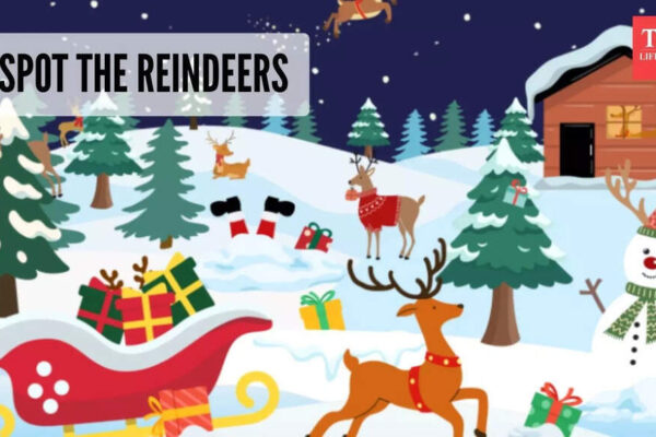 Christmas Brain Teaser Challenge: Only a person who has excellent problem-solving skills can spot all the reindeer |