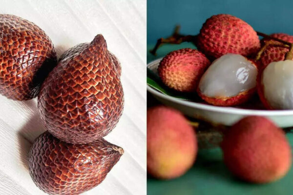 Snake fruit vs litchi fruit: Key differences in nutritional value, benefits and taste |