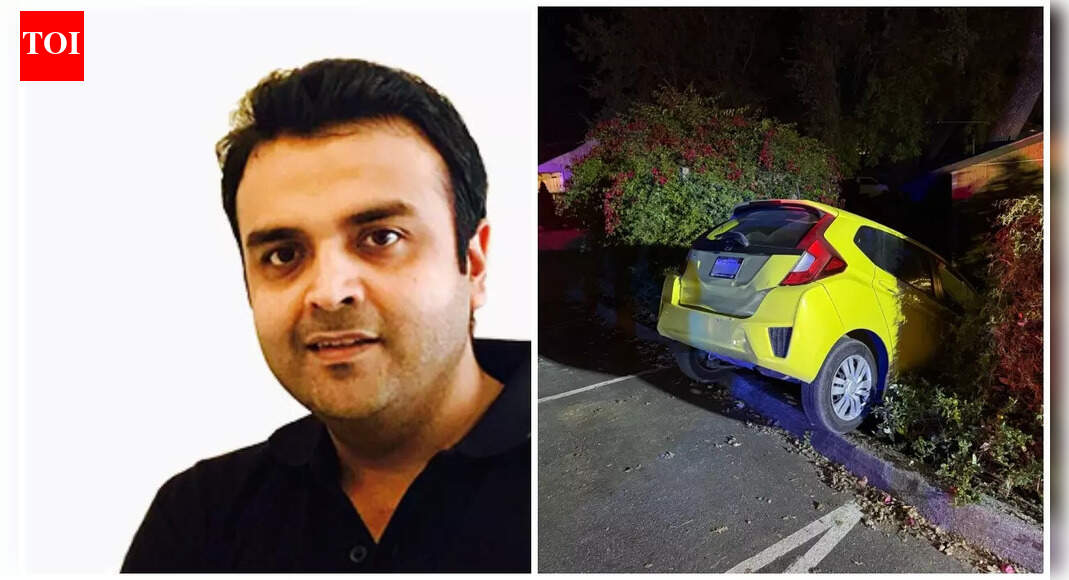Indian-origin millionaire arrested in US; Vikram Beri tried setting California winery on fire; crashed Tesla into two cars