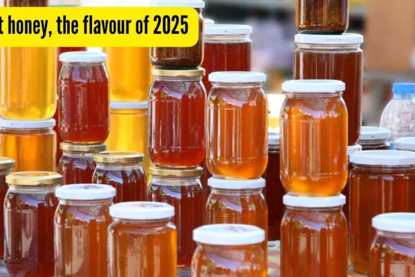 What is Hot Honey? The food trend that dominated searches in 2025