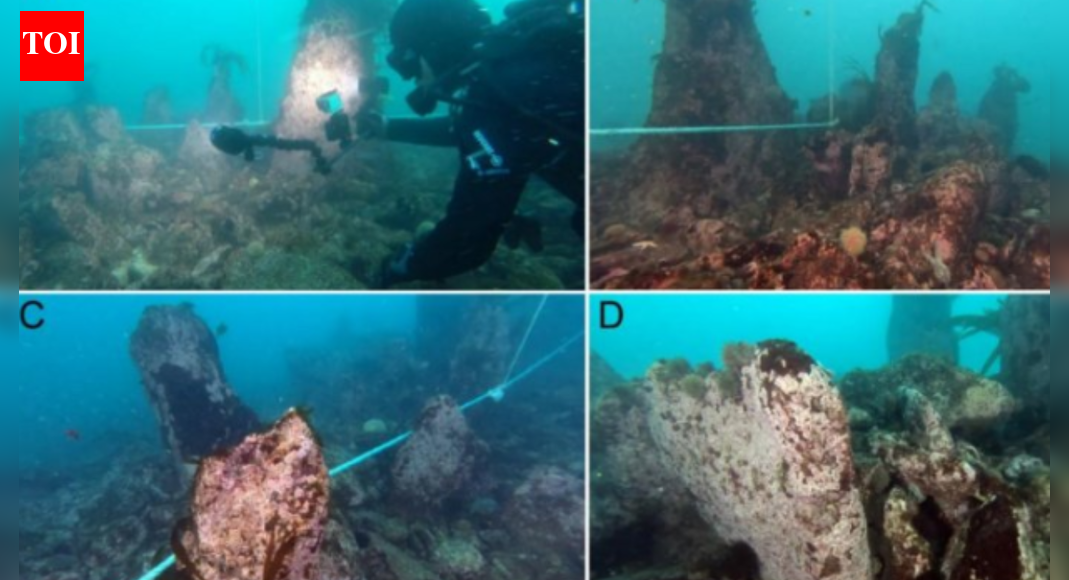 ‘Opens up new prospects’: Ancient underwater wall discovered off French coast; hints at coastal societies