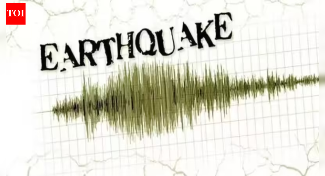 4.3-magnitude quake jolts Pakistan – The Times of India