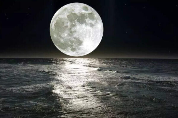 Moon Sign Astrology: How Each Zodiac Sign Can Processes Trauma & Needs to Heal in 2026