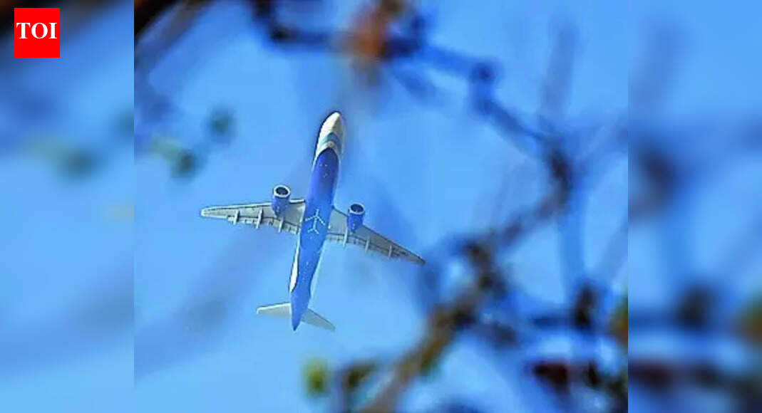 Senior expat official in IndiGo management may face action