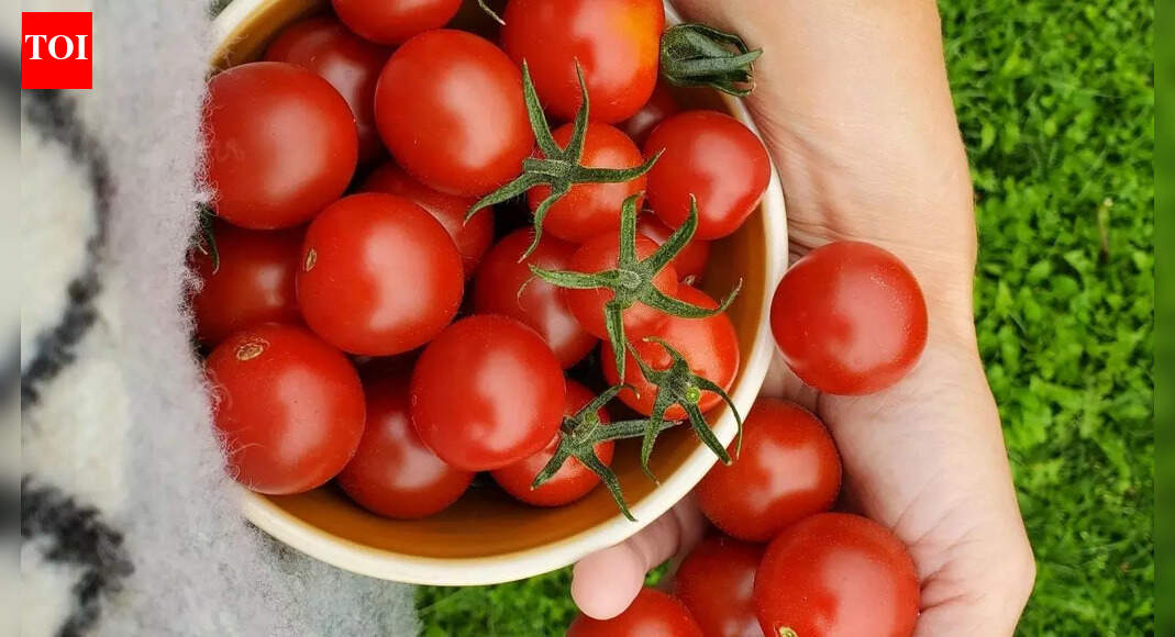 7 low-maintenance vegetables to grow on your balcony garden