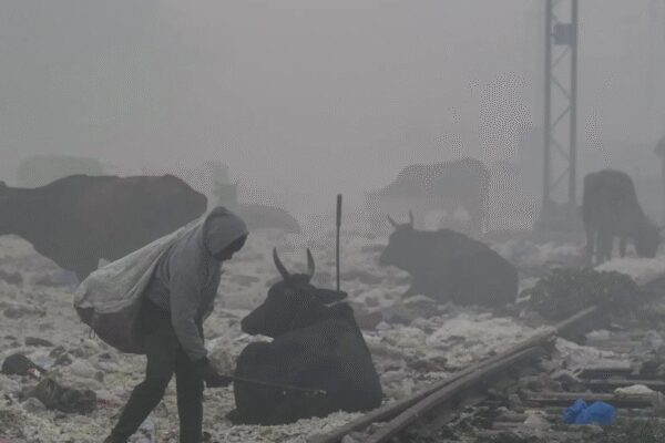 NEW DELHI: Countries like UK, Canada and Singapore on Monday issue travel advisory cautioning its citizens against the deteriorating air quality index in Northern India.This comes as the Delhi continued to experience hazardous air conditions, with Anand Vihar recording an AQI of 493, placing it in the ‘Severe’ category.’Delhi NOT Most Polluted’: Doctor’s Shocking Reveal On Toxic Monster; And How To Fight BackSingapore High Commission in New Delhi has issued an advisory asking its citizens to monitor their flight status as many flights were cancelled dense smog engulfed major cities of north India.“In light of the Indian Central Pollution Control Board invoking Stage 4 of the Graded Response Action Plan, the Singapore High Commission has issued the following advisory for Singapore nationals in the Delhi NCR,” a statement from the High Commission read.Earlier, United Kingdom’s Foreign, Commonwealth & Development Office said that pregnant women, people with heart or respiratory condition should consult a doctor before travelling to India.”Severe air pollution is a major health hazard, especially during the winter months from October to February. North Indian cities are most affected by extremely high levels of pollution,” the advisory reads.”Children, the elderly and those with pre-existing medical conditions may be especially affected. If you’re pregnant or have a respiratory or heart condition you may wish to consult a medical practitioner before you travel,” it added.Canada also issue a similar advisory and asked travelers to monitor air quality regularly, especially if someone is suffering from respiratory ailments “Smoke haze and other types of air pollution can be extremely hazardous in urban areas and cities such as Delhi. It’s typically at its worst in winter. In rural areas, air quality can be affected by agricultural burning,” it said.”Dust storms also occur across northern India. Monitor air pollution levels, which change quickly, especially if you suffer from respiratory ailments or have pre-existing medical conditions,” it added.Visibility in Delhi was severely affected on Monday morning as a thick layer of smog and fog enveloped the city, reducing visibility and disrupting air traffic operations at Indira Gandhi International Airport. The weather conditions led to concerns over delays and rescheduling of flights, particularly during early morning hours.The air quality was ‘severe’ at 38 stations while it was ‘very poor’ at two stations. Jahangirpuri, which recorded an AQI of 498, recorded the worst air quality amongst all 40 stations.According to the Central Pollution Control Board, an AQI between 0 and 50 is considered ‘good’, 51 to 100 ‘satisfactory’, 101 to 200 ‘moderate’, 201 to 300 ‘poor’, 301 to 400 ‘very poor’, and 401 to 500 ‘severe’.The AQI in Delhi had climbed to 461 on Sunday and marked the city’s most polluted day this winter and the second-worst December air quality day on record, as weak winds and low temperatures trapped pollutants close to the surface.The air quality monitoring station at Wazirpur recorded the maximum possible Air Quality Index (AQI) value of 500 during the day, beyond which the Central Pollution Control Board (CPCB) does not register data.About the AuthorTOI News DeskThe TOI News Desk comprises a dedicated and tireless team of journalists who operate around the clock to deliver the most current and comprehensive news and updates to the readers of The Times of India worldwide. With an unwavering commitment to excellence in journalism, our team is at the forefront of gathering, verifying, and presenting breaking news, in-depth analysis, and insightful reports on a wide range of topics. The TOI News Desk is your trusted source for staying informed and connected to the ever-evolving global landscape, ensuring that our readers are equipped with the latest developments that matter most.”Read MoreEnd of ArticleFollow Us On Social MediaVideosYogi Adityanath Targets Nehru Over Kashmir, Links Historic Blunder To India’s Long Terror CrisisWho Is Sajid And Naveed Akram? Bondi Beach Attacker Father-Son Duo Shame Pakistan With Terror AttackLetter To Sonia Gandhi Costs Ex Odisha MLA Moquim Party Post As Congress Cites Anti Party ActivitiesSambit Patra Criticises Congress ‘Vote Chor, Gaddi Chhod’ Rally At Delhi’S Ramlila MaidanPM Modi Condemns “Ghastly” Sydney Terror Attack, Reiterates India’s Zero Tolerance For TerrorBihar Minister Nitin Nabin Appointed National Working President Of BJP‘Amit Shah’s Hands Were Shaking’: Rahul Gandhi Hits Out At BJP-RSS, Warns EC In ‘Vote Chori’ Rally‘Didn’t Go For Son’s Operation’: Kharge Lauds Rahul Gandhi In ‘Vote Chori’ Rally, Calls BJP ‘Gaddar’Messi Kolkata Event Chaos: Organiser Satadru Dutta Denied Bail, Sent To 14-Day Police CustodyVIPs First, Fans Later: Messi’s Kolkata Tour Flop Exposes Misplaced Priorities123PhotostoriesAfter school time: 5 things kids should do to boost their brain healthHair Washing Day According To AstrologyBengaluru’s long-awaited Pink Line inches closer as first Namma Metro train set to arrive next weekBrushing too hard? How “clean teeth” can still lose enamelYour Past Life Karma Based On Your Birth DateDo you have a tej patta at home? Try this today to manifest what feels stuckUniverse Guidance Based On Your Birth NumberAIIMS study finds heart disease as the leading cause of sudden death in people under 45: 5 ‘unusual’ warning signs you should pay attention toPeople born in these months are emotionally older than their age (check your birth month!)‘Gumnaam’, ‘Gupt’, ‘100 Days’: Old Bollywood classics we never thought would do justice to the murder mystery genre123Hot PicksBondi beach attackCorona RemediesJetBlue flight VenezuelaGold rate todaySilver rate todayPublic Holidays NovemberBank Holidays NovemberTop TrendingDelhi SchoolMLB Trade RumorsNFL PlayoffPhilip River KidsTristan Jarry TradeBoston Red SoxDelhi AQILebron JamesDelarum PouyabaharWho is Paige Shiver