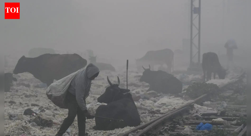 NEW DELHI: Countries like UK, Canada and Singapore on Monday issue travel advisory cautioning its citizens against the deteriorating air quality index in Northern India.This comes as the Delhi continued to experience hazardous air conditions, with Anand Vihar recording an AQI of 493, placing it in the ‘Severe’ category.’Delhi NOT Most Polluted’: Doctor’s Shocking Reveal On Toxic Monster; And How To Fight BackSingapore High Commission in New Delhi has issued an advisory asking its citizens to monitor their flight status as many flights were cancelled dense smog engulfed major cities of north India.“In light of the Indian Central Pollution Control Board invoking Stage 4 of the Graded Response Action Plan, the Singapore High Commission has issued the following advisory for Singapore nationals in the Delhi NCR,” a statement from the High Commission read.Earlier, United Kingdom’s Foreign, Commonwealth & Development Office said that pregnant women, people with heart or respiratory condition should consult a doctor before travelling to India.”Severe air pollution is a major health hazard, especially during the winter months from October to February. North Indian cities are most affected by extremely high levels of pollution,” the advisory reads.”Children, the elderly and those with pre-existing medical conditions may be especially affected. If you’re pregnant or have a respiratory or heart condition you may wish to consult a medical practitioner before you travel,” it added.Canada also issue a similar advisory and asked travelers to monitor air quality regularly, especially if someone is suffering from respiratory ailments “Smoke haze and other types of air pollution can be extremely hazardous in urban areas and cities such as Delhi. It’s typically at its worst in winter. In rural areas, air quality can be affected by agricultural burning,” it said.”Dust storms also occur across northern India. Monitor air pollution levels, which change quickly, especially if you suffer from respiratory ailments or have pre-existing medical conditions,” it added.Visibility in Delhi was severely affected on Monday morning as a thick layer of smog and fog enveloped the city, reducing visibility and disrupting air traffic operations at Indira Gandhi International Airport. The weather conditions led to concerns over delays and rescheduling of flights, particularly during early morning hours.The air quality was ‘severe’ at 38 stations while it was ‘very poor’ at two stations. Jahangirpuri, which recorded an AQI of 498, recorded the worst air quality amongst all 40 stations.According to the Central Pollution Control Board, an AQI between 0 and 50 is considered ‘good’, 51 to 100 ‘satisfactory’, 101 to 200 ‘moderate’, 201 to 300 ‘poor’, 301 to 400 ‘very poor’, and 401 to 500 ‘severe’.The AQI in Delhi had climbed to 461 on Sunday and marked the city’s most polluted day this winter and the second-worst December air quality day on record, as weak winds and low temperatures trapped pollutants close to the surface.The air quality monitoring station at Wazirpur recorded the maximum possible Air Quality Index (AQI) value of 500 during the day, beyond which the Central Pollution Control Board (CPCB) does not register data.About the AuthorTOI News DeskThe TOI News Desk comprises a dedicated and tireless team of journalists who operate around the clock to deliver the most current and comprehensive news and updates to the readers of The Times of India worldwide. With an unwavering commitment to excellence in journalism, our team is at the forefront of gathering, verifying, and presenting breaking news, in-depth analysis, and insightful reports on a wide range of topics. The TOI News Desk is your trusted source for staying informed and connected to the ever-evolving global landscape, ensuring that our readers are equipped with the latest developments that matter most.”Read MoreEnd of ArticleFollow Us On Social MediaVideosYogi Adityanath Targets Nehru Over Kashmir, Links Historic Blunder To India’s Long Terror CrisisWho Is Sajid And Naveed Akram? Bondi Beach Attacker Father-Son Duo Shame Pakistan With Terror AttackLetter To Sonia Gandhi Costs Ex Odisha MLA Moquim Party Post As Congress Cites Anti Party ActivitiesSambit Patra Criticises Congress ‘Vote Chor, Gaddi Chhod’ Rally At Delhi’S Ramlila MaidanPM Modi Condemns “Ghastly” Sydney Terror Attack, Reiterates India’s Zero Tolerance For TerrorBihar Minister Nitin Nabin Appointed National Working President Of BJP‘Amit Shah’s Hands Were Shaking’: Rahul Gandhi Hits Out At BJP-RSS, Warns EC In ‘Vote Chori’ Rally‘Didn’t Go For Son’s Operation’: Kharge Lauds Rahul Gandhi In ‘Vote Chori’ Rally, Calls BJP ‘Gaddar’Messi Kolkata Event Chaos: Organiser Satadru Dutta Denied Bail, Sent To 14-Day Police CustodyVIPs First, Fans Later: Messi’s Kolkata Tour Flop Exposes Misplaced Priorities123PhotostoriesAfter school time: 5 things kids should do to boost their brain healthHair Washing Day According To AstrologyBengaluru’s long-awaited Pink Line inches closer as first Namma Metro train set to arrive next weekBrushing too hard? How “clean teeth” can still lose enamelYour Past Life Karma Based On Your Birth DateDo you have a tej patta at home? Try this today to manifest what feels stuckUniverse Guidance Based On Your Birth NumberAIIMS study finds heart disease as the leading cause of sudden death in people under 45: 5 ‘unusual’ warning signs you should pay attention toPeople born in these months are emotionally older than their age (check your birth month!)‘Gumnaam’, ‘Gupt’, ‘100 Days’: Old Bollywood classics we never thought would do justice to the murder mystery genre123Hot PicksBondi beach attackCorona RemediesJetBlue flight VenezuelaGold rate todaySilver rate todayPublic Holidays NovemberBank Holidays NovemberTop TrendingDelhi SchoolMLB Trade RumorsNFL PlayoffPhilip River KidsTristan Jarry TradeBoston Red SoxDelhi AQILebron JamesDelarum PouyabaharWho is Paige Shiver