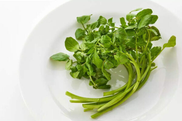 THIS everyday leafy habit may quietly lower cancer and heart disease risk |