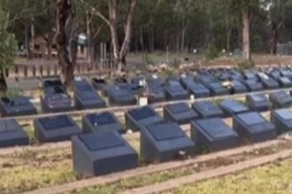 ‘If you want peace…’: Pig heads dumped at a Muslim cemetery in Australia after 15 killed in Bondi Beach shooting
