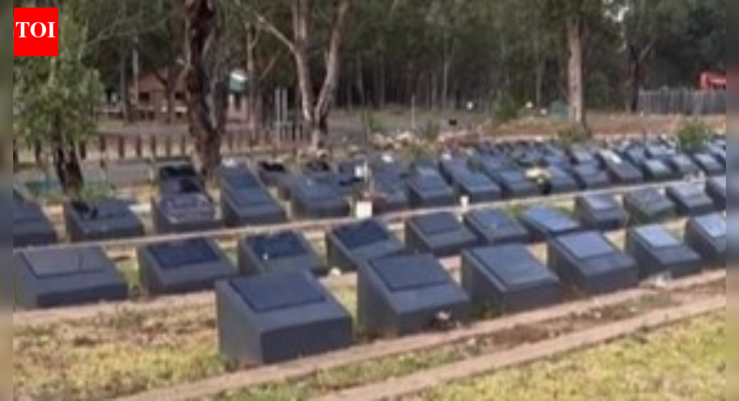 ‘If you want peace…’: Pig heads dumped at a Muslim cemetery in Australia after 15 killed in Bondi Beach shooting