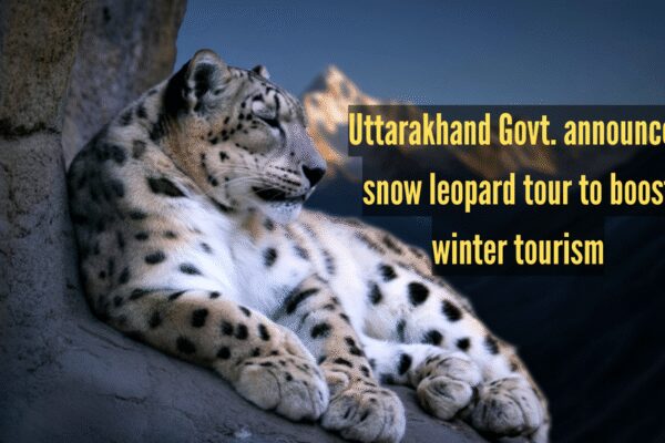 Uttarakhand Govt announces snow leopard tour to boost winter tourism; 5 other Indian spots to see the Big Cat