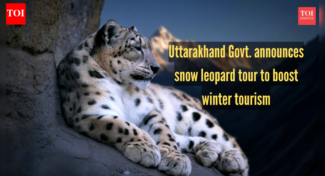 Uttarakhand Govt announces snow leopard tour to boost winter tourism; 5 other Indian spots to see the Big Cat