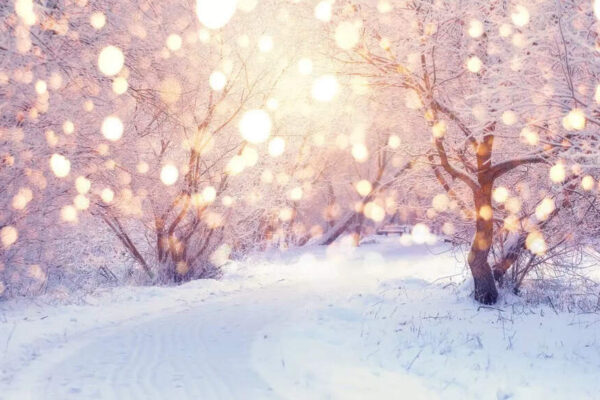Winter Solstice 2025: Understanding the meaning behind the ‘shortest day of the year’; know the date, time and everything you need to know