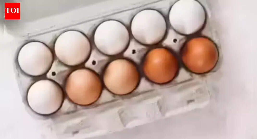 . New Delhi: The Food Safety and Standards Authority of India (FSSAI) on Monday directed its regional offices across the country to collect samples of both branded and unbranded eggs and send them to 10 laboratories for testing to check for the presence of nitrofurans residues.The move follows a controversy over the quality of eggs sold by popular brand Eggoz, with reports raising concerns about possible traces of nitrofurans — a group of antibiotics banned for use in food-producing animals. Health authorities say the fact that residues can still enter eggs if such drugs are used illegally in poultry farming is what has prompted the nationwide sampling exercise.The issue surfaced after an online report flagged concerns over egg quality, triggering public debate and regulatory scrutiny. In response, Eggoz issued a statement maintaining that its products are safe.“As promised, the latest lab reports of Eggoz egg samples (Dec 25) are available, and we are sharing them openly for everyone’s reference at www.eggoz.com. At Eggoz, the safety and trust of our consumers mean everything to us. Thank you for your patience and for giving us the opportunity to clarify the facts. We will continue to uphold the highest standards across our farms and processes,” the egg distributors said in a statement on X.According to information shared by the company, the lab reports indicate that the samples tested were free from banned antibiotics, pesticides and drugs, with results marked “BLQ” — below the limit of quantification — for the substances tested.Medical experts, however, say the wider issue of antibiotic misuse in poultry remains a serious public health concern. Prof Chintamani, chairman, surgical oncology at Sir Ganga Ram Hospital, said nitrofurans are banned worldwide because their residues can persist in eggs even after cooking. Long-term consumption of contaminated eggs has been linked in animal studies to genetic damage and increased cancer risk, besides potential harm to the liver and kidneys.About the AuthorAnuja JaiswalAnuja Jaiswal is a Senior Assistant Editor at The Times of India, with an impressive 18-year career in narrative journalism. She specializes in health and heritage reporting, expertly simplifying complex health information to make it engaging and understandable for readers. Her deep dives into heritage topics are well-researched, resulting in captivating narratives that resonate with her audience. Over the years, she has worked in Chandigarh, Chhattisgarh and West UP, gaining diverse on-ground experience that shapes her storytelling.Read MoreEnd of ArticleFollow Us On Social MediaVideosIndian Army Displays Turkish Yiiha Drone Used By Pakistan During Operation SindoorPM Modi Arrives In Jordan, Receives Warm Welcome By Indian Diaspora In AmmanUS Starts Mandatory Social Media Checks For H-1B Visas Leaving Indian Professionals Most ExposedBJP’s Succession Script Repeats: Why Nitin Nabin Is Working President, And Not Nadda’s ReplacementEnd Of MGNREGA? What VB–G Ram G Means For Rural Workers, Farmers And Viksit Bharat PlanFrom Missiles To Torpedoes, DRDO Outlines India’s Big Defence Push For Near-Term Battlefield EdgePM Modi Begins Jordan, Ethiopia, Oman Tour To Boost Ancient Ties, Expand India’s Global South RoleIndian Diaspora Members Prepare Cultural Performances Ahead Of PM Modi’s Jordan VisitFrom Power Cuts To 500 GW Grid, India Emerges As Global Data Centre Hub Under Modi: Piyush GoyalCong’s ‘Modi Teri Kabr Khudegi’ Slogan Sparks Uproar, NDA Seeks Apology As Parliament Grinds To Halt123PhotostoriesFrom Chimpanzees to Rats: 5 animals who are smarter than you think!TV actors who married young: From Karanvir Bohra to Vivian DsenaLongest running Hindi TV shows: Taarak Mehta Kaa Ooltah Chasmah’ to ‘Balika Vadhu’Dear Comrade, Pelli Choopulu and Arjun Reddy; Breakthrough performances that redefined the Telugu lover boyDhurandhar, Chhaava, Mom; Challenging roles played by Akshaye Khanna5 adorable pink animals stealing the wildlife spotlight5 beautiful Romeo and Juliet quotes that will steal your hearts‘Damini’, ‘OMG! Oh My God’, ‘Prem Rog’: Bollywood movies that sparked social change and redefined mainstream storytelling5 pet fish that change colour and why it happens6 Traditional egg curries from different parts of the country123Hot Picksilia TopuriaCorona RemediesJetBlue flight VenezuelaGold rate todaySilver rate todayPublic Holidays NovemberBank Holidays NovemberTop TrendingJosh AllenAuston MatthewsVanessa BryantLeBron JamesBukayo Saka and Tolami Benson Net WorthConnor McDavidTomi LahrenAdolis GarciaDeante Ayton MomBrock McGillis