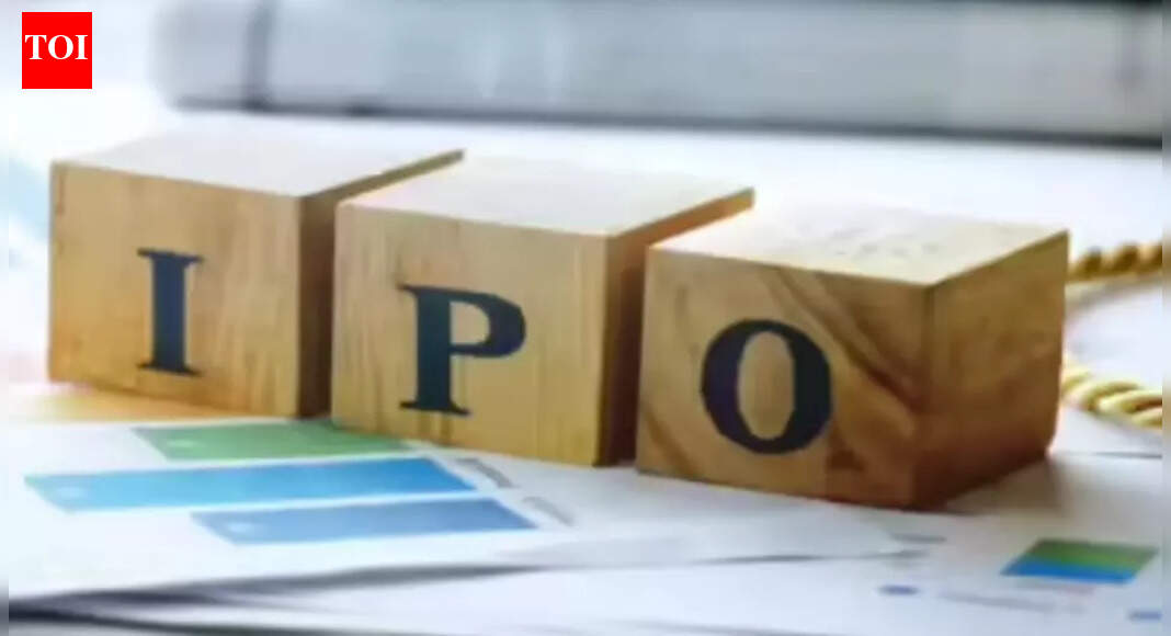 Chips-maker Balaji valued at Rs 35k crore, US fund to buy 7%