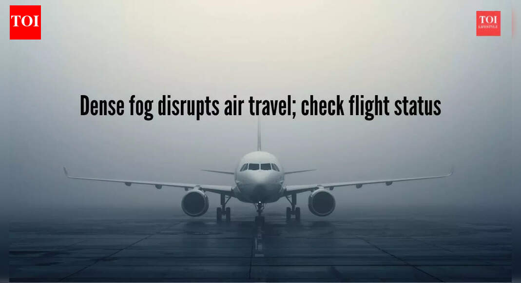 Air travel hit by dense fog in North India, Delhi worst affected: 100+ flights cancelled, passengers asked to check status |