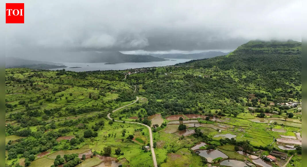 Dec 16, 2025, 11:38 IST