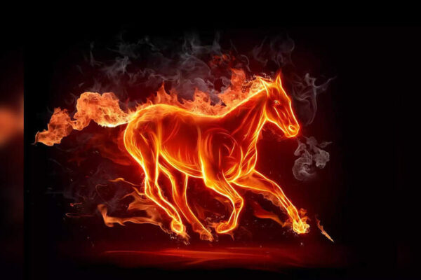 Fire Horse Year 2026: Zodiac Signs Destined for Major Relationship Shifts