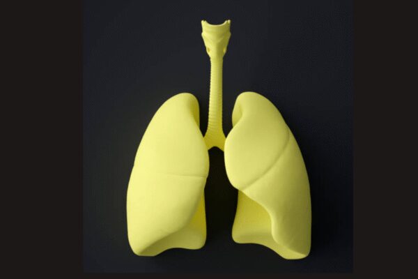 Lung cancer: New blood test can find cancer one cell at a time |
