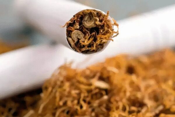 Gujarat has banned the sale and distribution of rolling papers and pre-rolled cones, commonly known as ‘Gogo paper’. The state home department cited health risks and concerns that these products are being used by youth to smoke narcotic substances. The ban, effective immediately, targets harmful substances found in the papers, aiming to curb addiction among young people. . NEW DELHI: Gujarat government on Tuesday imposed an immediate ban on the storage, sale, and distribution of rolling papers and pre-rolled cones, citing health risks, the state home department said.These ultra-thin paper sheets and cones are commonly sold at grocery stores and paan shops across the state. They are mainly used by tobacco smokers to roll cigarettes by filling raw tobacco inside.According to a notification issued by the home department, local media outlets and social organisations had raised concerns that these rolling papers, commonly known as “Gogo paper”, were also being used by youths and teenagers to smoke narcotic substances such as weed and charas.IPL Auction 2026IPL Auction 2026: Full list of sold and unsold players for all teamsIPL Auction: Green becomes most expensive overseas; CSK spend Rs 28.4 crore on uncapped duoIPL 2026 team and squad List: Updated players for all 10 Teams; who got whomThe notification said the rolling papers, which are sold in packets, contain harmful substances. These include titanium oxide, potassium nitrate, artificial dye, calcium carbonate, and chlorine bleach.Despite the harmful effects, the products were easily available at paan parlours and grocery shops, leading to the spread of addiction among young people, the notification said.The home department stated that the ban has come into force with immediate effect. Anyone found violating the order will be booked under section 223 of the Bharatiya Nyaya Sanhita, which deals with disobedience of government orders.About the AuthorTOI News DeskThe TOI News Desk comprises a dedicated and tireless team of journalists who operate around the clock to deliver the most current and comprehensive news and updates to the readers of The Times of India worldwide. With an unwavering commitment to excellence in journalism, our team is at the forefront of gathering, verifying, and presenting breaking news, in-depth analysis, and insightful reports on a wide range of topics. The TOI News Desk is your trusted source for staying informed and connected to the ever-evolving global landscape, ensuring that our readers are equipped with the latest developments that matter most.”Read MoreEnd of ArticleFollow Us On Social MediaVideosEx-Maharashtra CM Prithviraj Chavan’s ‘Op Sindoor’ Remark Sparks Row, BJP Hits BackFrom Jordan To Ethiopia: How PM Modi’s Viral Car Diplomacy Is Redefining Diplomatic OpticsBondi Beach Shooting: Terrorists’ Origin Mystery Deepens As Indian Passport, Hyderabad Link EmergesIn Israel, Jaishankar Condoles Sydney Attack Targeting Jews, Sends Zero Tolerance on Terror MessagePM Modi Lands In Addis Ababa, Indian Diaspora In Ethiopia Awaits To Meet PMFrom Kolkata Chaos to Delhi Celebration: Lionel Messi’s G.O.A.T India Tour At A GlancePM Modi Pitches New Economic Corridor As King Abdullah Praises India’s Growth At Jordan Forum MeetPriyanka Gandhi Targets VB-G RAM G Bill Over MGNREGA, Blasts Centre’s Name Change TacticsSonia Gandhi Targets Modi Govt On ASHA, Anganwadi Workers In Rajya SabhaNational Herald Case: Court Declines To Act On ED Chargesheet, Congress Claims Truth Has Prevailed123PhotostoriesFrom frilled lizards to Mandrills: 5 cool animals that stand out from the othersHow to make Beetroot Pulao for weekday dinner during winterIs Your Ruling Planet Upset With You? Watch These Warning SignsShakira makes a case for sustainable fashion as she re-wears Gaurav Gupta couture for a milestone performanceFrom a walk-in wardrobe to a bathtub: Debinna Bonnerjee and Gurmeet Choudhary give a glimpse into their aesthetically done white havenTop 10 fastest wealth creators: Which stocks have grown your money the most in the last 5 years? Check List10 world leaders and their favourite foods7 countries and territories so small you can explore them in a day — and what it costs to visitLove seasonal fruits? Then transform them into dry fruits to relish throughout the yearThrowback to electrifying performances by Ranveer Singh, Hrithik Roshan,AR Rahmanat IPL opening ceremonies over the years123Hot Picksilia TopuriaCorona RemediesJetBlue flight VenezuelaGold rate todaySilver rate todayPublic Holidays NovemberBank Holidays NovemberTop TrendingRams Fan FallGabrielle UnionVanessa BryantNicholas HumTyreek HillCBSE Class 10 Biology Exam Preparation 2026Bukayo Saka and Tolami Benson Net WorthConnor McDavidZac TaylorTyler Glasnow