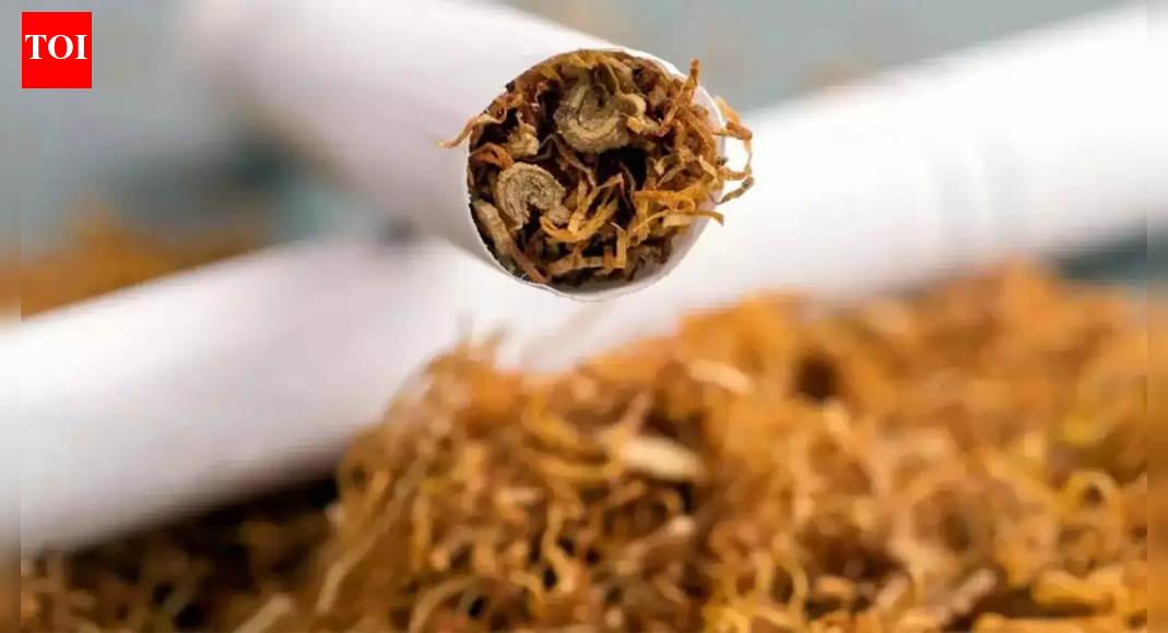 Gujarat has banned the sale and distribution of rolling papers and pre-rolled cones, commonly known as ‘Gogo paper’. The state home department cited health risks and concerns that these products are being used by youth to smoke narcotic substances. The ban, effective immediately, targets harmful substances found in the papers, aiming to curb addiction among young people. . NEW DELHI: Gujarat government on Tuesday imposed an immediate ban on the storage, sale, and distribution of rolling papers and pre-rolled cones, citing health risks, the state home department said.These ultra-thin paper sheets and cones are commonly sold at grocery stores and paan shops across the state. They are mainly used by tobacco smokers to roll cigarettes by filling raw tobacco inside.According to a notification issued by the home department, local media outlets and social organisations had raised concerns that these rolling papers, commonly known as “Gogo paper”, were also being used by youths and teenagers to smoke narcotic substances such as weed and charas.IPL Auction 2026IPL Auction 2026: Full list of sold and unsold players for all teamsIPL Auction: Green becomes most expensive overseas; CSK spend Rs 28.4 crore on uncapped duoIPL 2026 team and squad List: Updated players for all 10 Teams; who got whomThe notification said the rolling papers, which are sold in packets, contain harmful substances. These include titanium oxide, potassium nitrate, artificial dye, calcium carbonate, and chlorine bleach.Despite the harmful effects, the products were easily available at paan parlours and grocery shops, leading to the spread of addiction among young people, the notification said.The home department stated that the ban has come into force with immediate effect. Anyone found violating the order will be booked under section 223 of the Bharatiya Nyaya Sanhita, which deals with disobedience of government orders.About the AuthorTOI News DeskThe TOI News Desk comprises a dedicated and tireless team of journalists who operate around the clock to deliver the most current and comprehensive news and updates to the readers of The Times of India worldwide. With an unwavering commitment to excellence in journalism, our team is at the forefront of gathering, verifying, and presenting breaking news, in-depth analysis, and insightful reports on a wide range of topics. The TOI News Desk is your trusted source for staying informed and connected to the ever-evolving global landscape, ensuring that our readers are equipped with the latest developments that matter most.”Read MoreEnd of ArticleFollow Us On Social MediaVideosEx-Maharashtra CM Prithviraj Chavan’s ‘Op Sindoor’ Remark Sparks Row, BJP Hits BackFrom Jordan To Ethiopia: How PM Modi’s Viral Car Diplomacy Is Redefining Diplomatic OpticsBondi Beach Shooting: Terrorists’ Origin Mystery Deepens As Indian Passport, Hyderabad Link EmergesIn Israel, Jaishankar Condoles Sydney Attack Targeting Jews, Sends Zero Tolerance on Terror MessagePM Modi Lands In Addis Ababa, Indian Diaspora In Ethiopia Awaits To Meet PMFrom Kolkata Chaos to Delhi Celebration: Lionel Messi’s G.O.A.T India Tour At A GlancePM Modi Pitches New Economic Corridor As King Abdullah Praises India’s Growth At Jordan Forum MeetPriyanka Gandhi Targets VB-G RAM G Bill Over MGNREGA, Blasts Centre’s Name Change TacticsSonia Gandhi Targets Modi Govt On ASHA, Anganwadi Workers In Rajya SabhaNational Herald Case: Court Declines To Act On ED Chargesheet, Congress Claims Truth Has Prevailed123PhotostoriesFrom frilled lizards to Mandrills: 5 cool animals that stand out from the othersHow to make Beetroot Pulao for weekday dinner during winterIs Your Ruling Planet Upset With You? Watch These Warning SignsShakira makes a case for sustainable fashion as she re-wears Gaurav Gupta couture for a milestone performanceFrom a walk-in wardrobe to a bathtub: Debinna Bonnerjee and Gurmeet Choudhary give a glimpse into their aesthetically done white havenTop 10 fastest wealth creators: Which stocks have grown your money the most in the last 5 years? Check List10 world leaders and their favourite foods7 countries and territories so small you can explore them in a day — and what it costs to visitLove seasonal fruits? Then transform them into dry fruits to relish throughout the yearThrowback to electrifying performances by Ranveer Singh, Hrithik Roshan,AR Rahmanat IPL opening ceremonies over the years123Hot Picksilia TopuriaCorona RemediesJetBlue flight VenezuelaGold rate todaySilver rate todayPublic Holidays NovemberBank Holidays NovemberTop TrendingRams Fan FallGabrielle UnionVanessa BryantNicholas HumTyreek HillCBSE Class 10 Biology Exam Preparation 2026Bukayo Saka and Tolami Benson Net WorthConnor McDavidZac TaylorTyler Glasnow