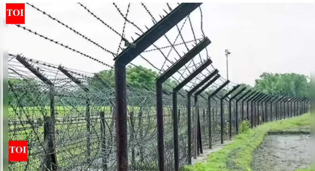 . New Delhi: The Indo-Bangladesh border witnessed the highest 1,104 infiltration attempts among the country’s international borders, along with 2,556 arrests between January and November 2025, according to data provided by the government in the Lok Sabha on Tuesday.Also, 79% per cent of the border with Bangladesh and 93.2% of the border with Pakistan have been fenced.In a written reply, junior home minister Nityanand Rai said there 32 infiltration cases and 49 infiltrators were arrested on the Indo-Pakistan border this year till November. The Indo-Myanmar border saw 95 infiltration cases and 437 arrests and the Indo-Nepal and Indo-Bhutan border, 54 infiltration cases and 78 arrests in the first 11 months of this year. IPL Auction 2026IPL Auction 2026: Full list of sold and unsold players for all teamsIPL 2026 team and squad List: Updated players for all 10 Teams; who got whomNo infiltration cases were reported along the India-China border, the minister said.Rai said that since 2014, more than 8,500 infiltration attempts have been detected across India’s borders, while over 20,800 infiltrators have been arrested.The India-Bangladesh border, which is 4,096.70 km long, accounted for the bulk of these cases, with over 7,500 infiltration attempts and more than 18,800 arrests recorded between 2014 and 2024.About the AuthorBharti JainBharti Jain is senior editor with The Times of India, New Delhi. She has been writing on security matters since 1996. Having covered the Union home ministry, security agencies, Election Commission and the ‘prime’ political beat, the Congress, for The Economic Times all these years, she moved to TOI in August 2012. Her repertoire of news stories delves into the whole gamut of issues related to terrorism and internal strife, besides probing strategic affairs in India’s neighbourhood.Read MoreEnd of ArticleFollow Us On Social MediaVideosPM Modi Holds Talks With Abiy Ahmed Ali, India-Ethiopia Ties Elevated To Strategic PartnershipLok Sabha Erupts Over MGNREGA: Priyanka Gandhi, Tharoor Slam VB‑G RAM G Bill, Shivraj Singh RespondsEx-Maharashtra CM Prithviraj Chavan’s ‘Op Sindoor’ Remark Sparks Row, BJP Hits BackFrom Jordan To Ethiopia: How PM Modi’s Viral Car Diplomacy Is Redefining Diplomatic OpticsBondi Beach Shooting: Terrorists’ Origin Mystery Deepens As Indian Passport, Hyderabad Link EmergesIn Israel, Jaishankar Condoles Sydney Attack Targeting Jews, Sends Zero Tolerance on Terror MessagePM Modi Lands In Addis Ababa, Indian Diaspora In Ethiopia Awaits To Meet PMFrom Kolkata Chaos to Delhi Celebration: Lionel Messi’s G.O.A.T India Tour At A GlancePM Modi Pitches New Economic Corridor As King Abdullah Praises India’s Growth At Jordan Forum MeetPriyanka Gandhi Targets VB-G RAM G Bill Over MGNREGA, Blasts Centre’s Name Change Tactics123Photostories4 common fruits and their parts to avoid and why9 fruits and vegetables that are the best sources of ironFrom frilled lizards to Mandrills: 5 cool animals that stand out from the othersHow to make Beetroot Pulao for weekday dinner during winterIs Your Ruling Planet Upset With You? Watch These Warning SignsShakira makes a case for sustainable fashion as she re-wears Gaurav Gupta couture for a milestone performanceFrom a walk-in wardrobe to a bathtub: Debinna Bonnerjee and Gurmeet Choudhary give a glimpse into their aesthetically done white havenTop 10 fastest wealth creators: Which stocks have grown your money the most in the last 5 years? Check List10 world leaders and their favourite foods7 countries and territories so small you can explore them in a day — and what it costs to visit123Hot Picksilia TopuriaCorona RemediesJetBlue flight VenezuelaGold rate todaySilver rate todayPublic Holidays NovemberBank Holidays NovemberTop TrendingRams Fan FallGabrielle UnionVanessa BryantNicholas HumTyreek HillCBSE Class 10 Biology Exam Preparation 2026Bukayo Saka and Tolami Benson Net WorthConnor McDavidZac TaylorTyler Glasnow