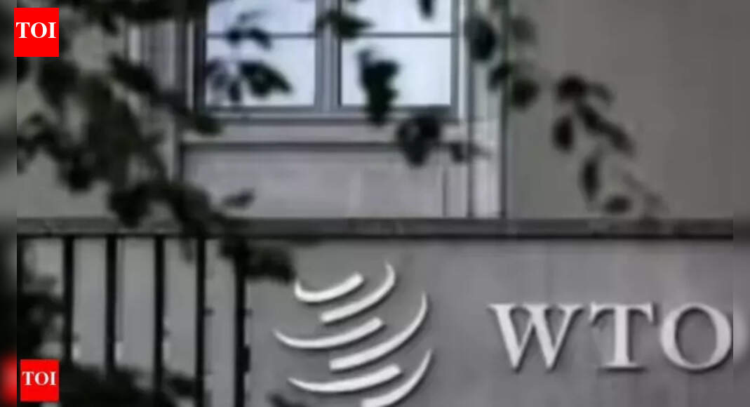 WTO can’t be forum to solve trading problems: US