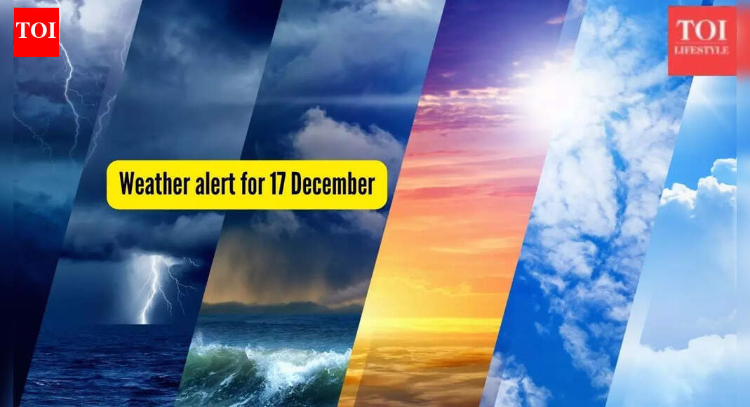 Weather alert for 17 December: IMD issues dense fog, cold wave and snowfall warnings across India